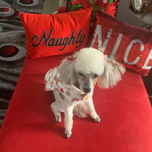 Meet your Posher, Rosalind - Picture 2 of 3